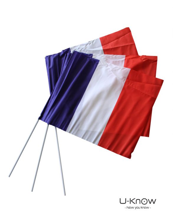 DS 110  DRAPEAU DE SUPPORTER 90 x 70 cm